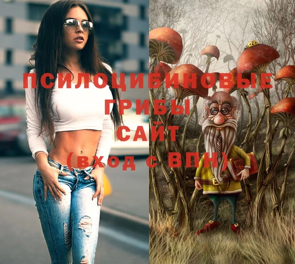 ешки Алзамай