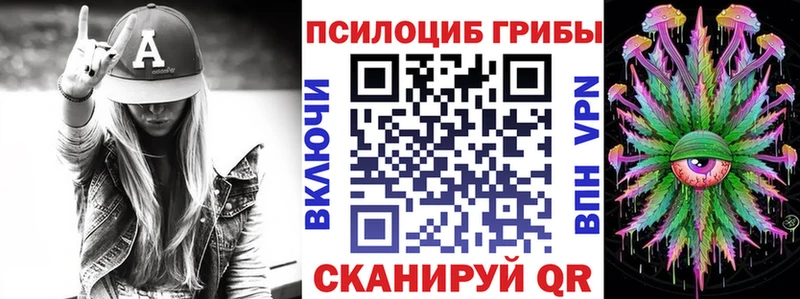 закладка  Чаплыгин  Псилоцибиновые грибы Magic Shrooms 